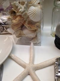 Shells and star fish