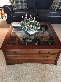 Coffee Table Glass Display Top