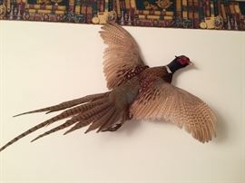 Pheasant Mount