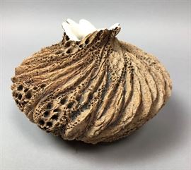 Lot 3 ANN GOLDMAN Organic Artisan Pottery Vase. Bark li