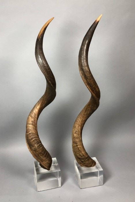 Lot 7 Pr Tall Antelope Horns mounted on Lucite Cube Bas