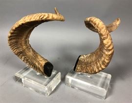 Lot 170 Pr Natural Rams Horns Bookends Table Sculptures.