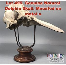 Lot 495 Genuine Natural Dolphin Skull. Mounted on metal a