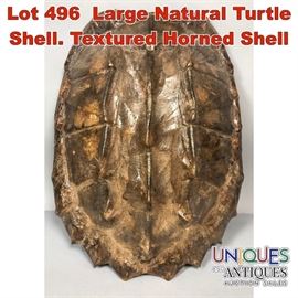 Lot 496 Large Natural Turtle Shell. Textured Horned Shell
