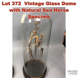Lot 372 Vintage Glass Dome with Natural Sea Horse Specime