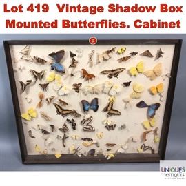 Lot 419 Vintage Shadow Box Mounted Butterflies. Cabinet o