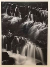Fern Springs, Dusk
Ansel Adams
American, 1902-1984
Size: 12.25 x 9 inches 
Signed to the mount (lower right)
Stamped on reverse
Gelatin silver print photograph printed by Adams from the negative, 1974
Published by the New York Graphic Society in an edition of 1000