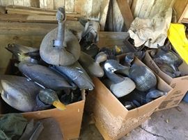vintage plastic Goose, duck &  Herter's pintail decoys