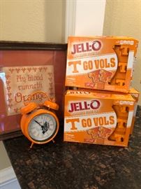 University of Tennessee fans...get ready for football season!