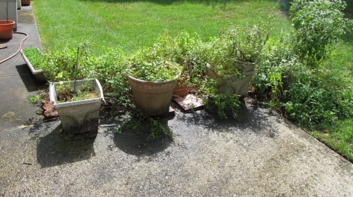 Outdoor plants / flower pots / stands etc. 