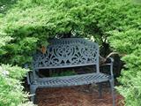 Lots of wrought iron benches