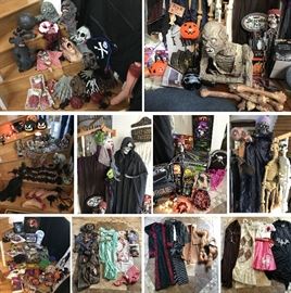 Halloween Decor and Costumes