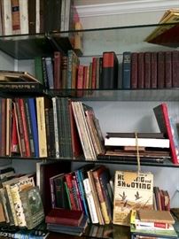 Shelves (and boxes) of old books & records