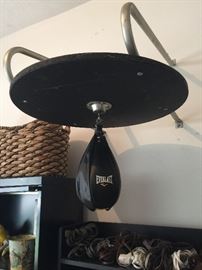 Everlast speed bag and mount