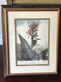 Ethan Allen Botanicals