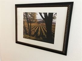 Vineyard Prints