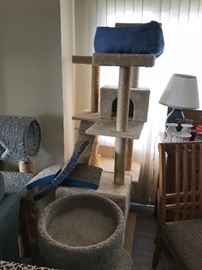 Cat climbers