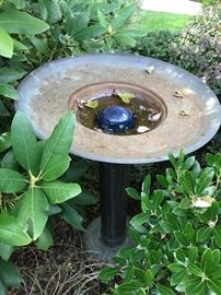 Bird bath