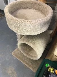 Cat climber (small)