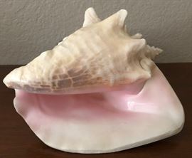 Large Shell