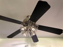 Ceiling Fan w Lights