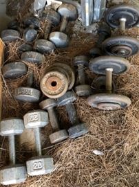 Asst Weights