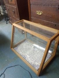 Need a display cabinet???  I'll have two of these!!