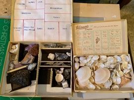 Shells and minerals