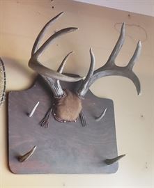 Vtg Deer Mount/Rack