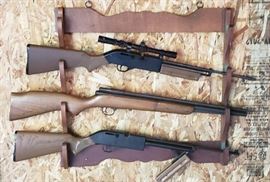 Misc. Air Rifles