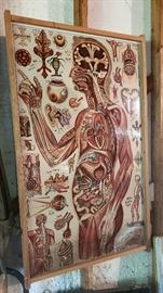 Vintage medical charts (2)