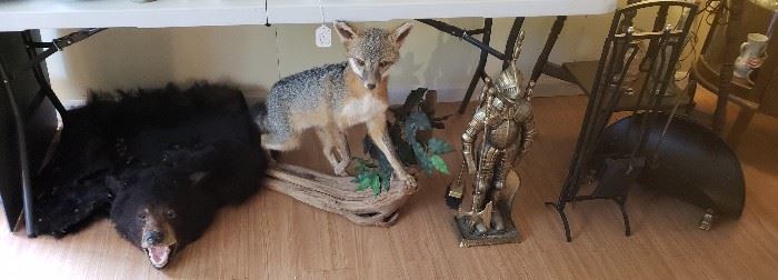Vintage bearskin rug, grey fox, brass knight fireplace set, black fireplace set