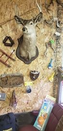 Vintage deer mount, deer racks, kid's fishing rods