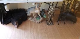 Vintage bearskin rug, grey fox, Heavy brass knight fireplace set, black fireplace set