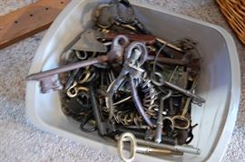 Skeleton & other key collection