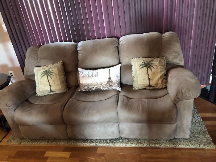 Sofa and pillows (we have 2)
