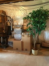 Plants and boxes of home goods