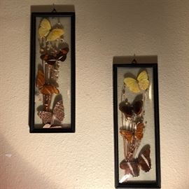 Vintage framed in glass butterflies