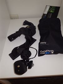 GO PRO