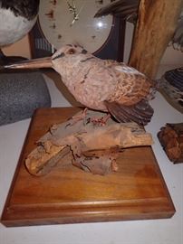 BIRD MOUNT