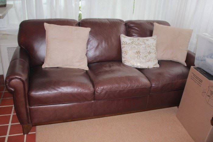 Leather Sofa and Accent Pillows