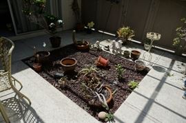 Plants, pots, weathervane