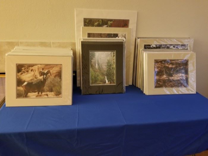 Photography Prints mounted with mats and in Frames