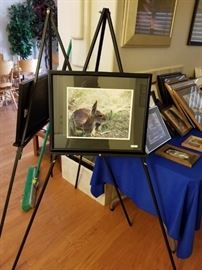 Frames Photography prints and easels
