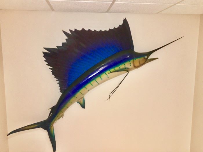 REAL SAILFISH TAXIDERMY