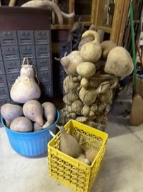 Lots of gourds