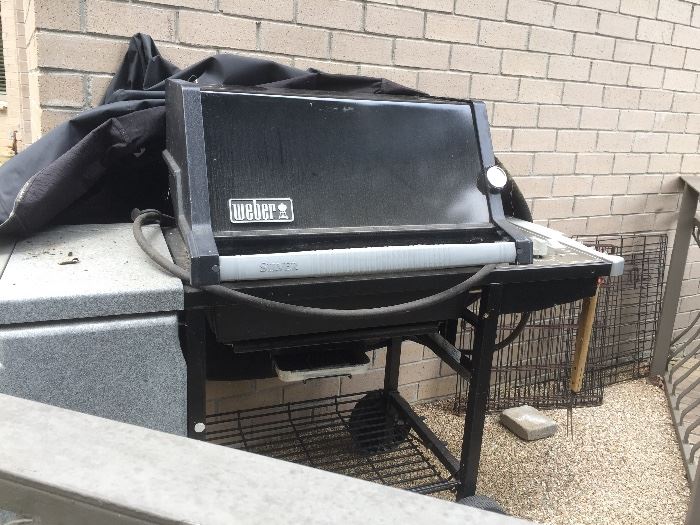 Weber propane gas grill