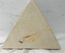 Fossil Fish Plaster Cast CW1005 https://www.ebay.com/itm/113297431529