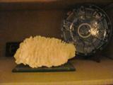 Numerous Pieces of Fine Coral