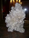 Large Coral Piece